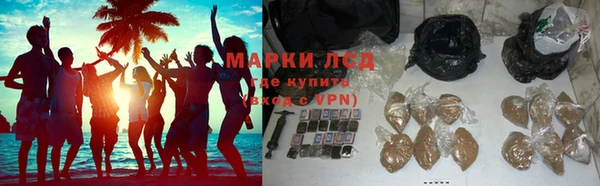 сатива Зеленодольск