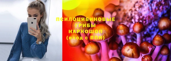 а пвп мука Инта