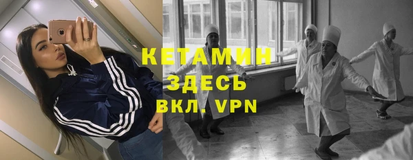 индика Инсар