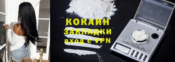 индика Инсар
