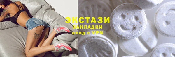 индика Инсар