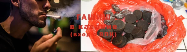 индика Инсар