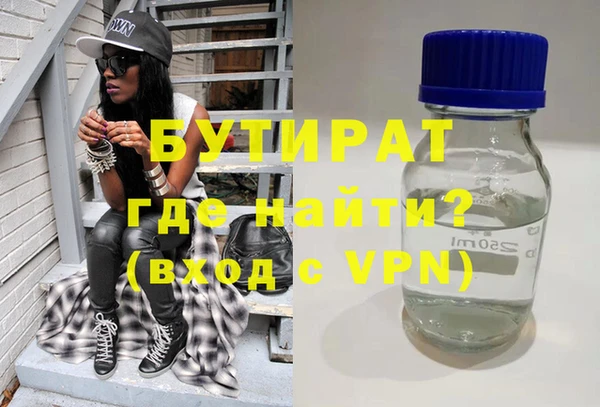 индика Инсар