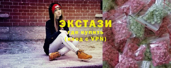 индика Инсар