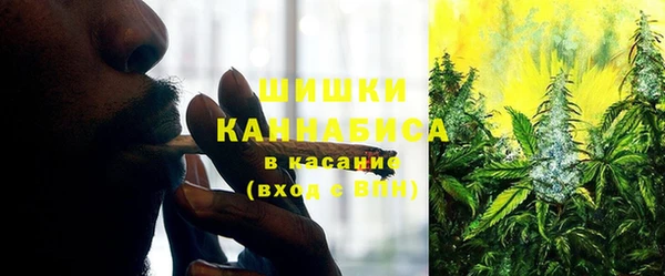 индика Инсар