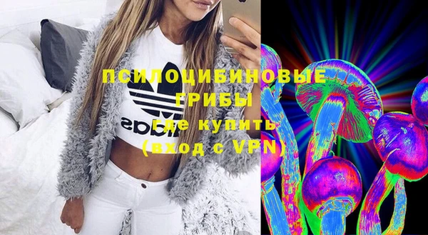 а пвп мука Инта