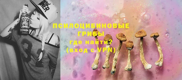 гидропоника Иннополис
