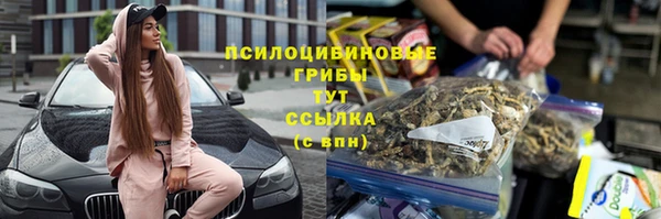 гидропоника Иннополис