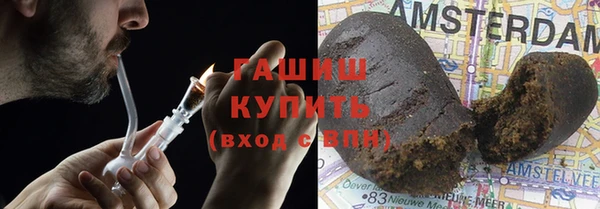 индика Инсар