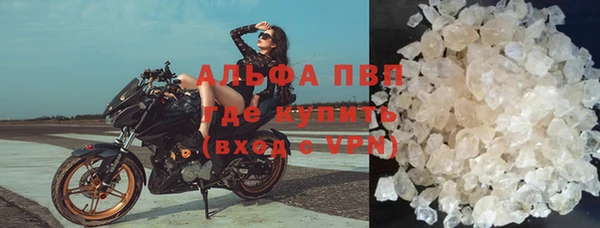 индика Инсар