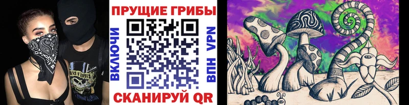 Купить закладки  Лукоянов  Псилоцибиновые грибы прущие грибы 